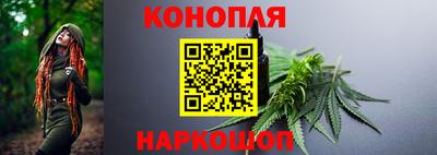 Альфа ПВП Ставрополь