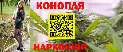 Альфа ПВП Ставрополь