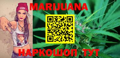 Альфа ПВП Ставрополь