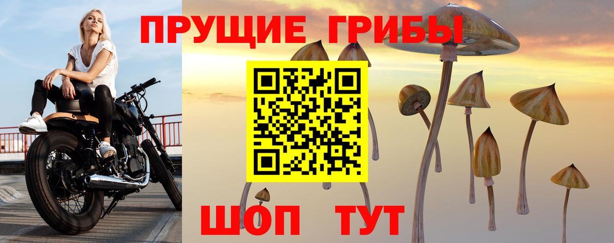 Мценск  Псилоцибиновые грибы Magic Shrooms  Вход с VPN 