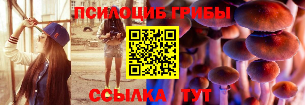 Галлюциногенные грибы GOLDEN TEACHER Мценск